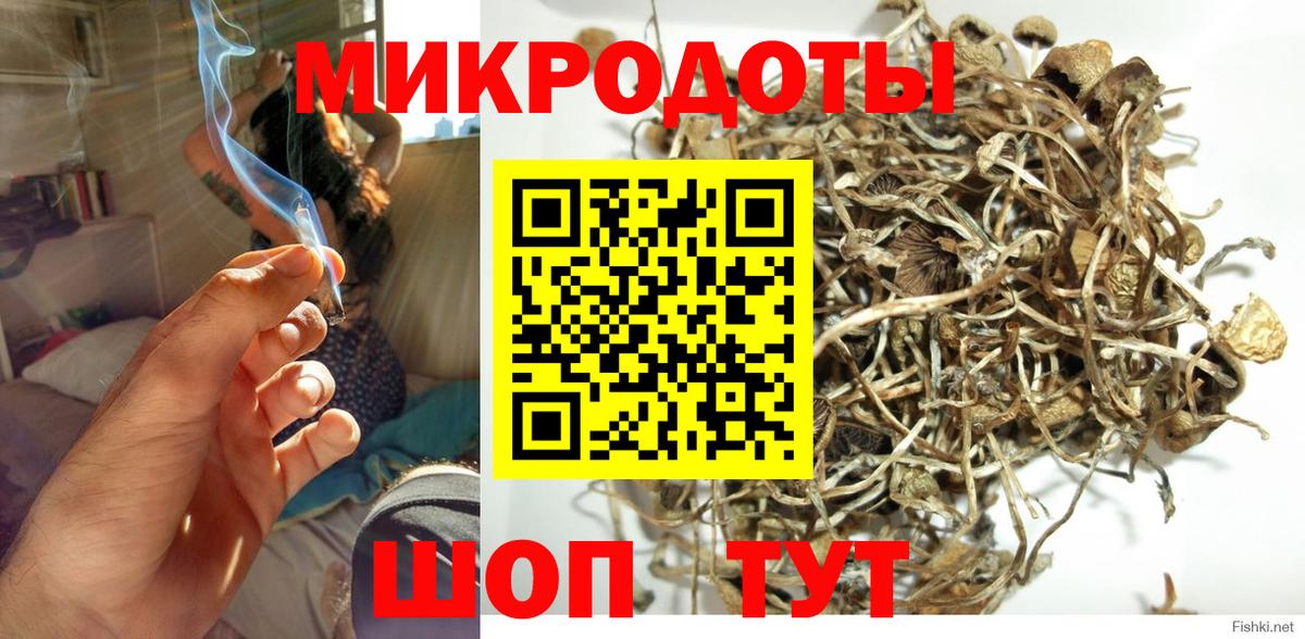 Псилоцибиновые грибы GOLDEN TEACHER  Вход с VPN  Псилоцибиновые грибы Psilocybe  Усинск 