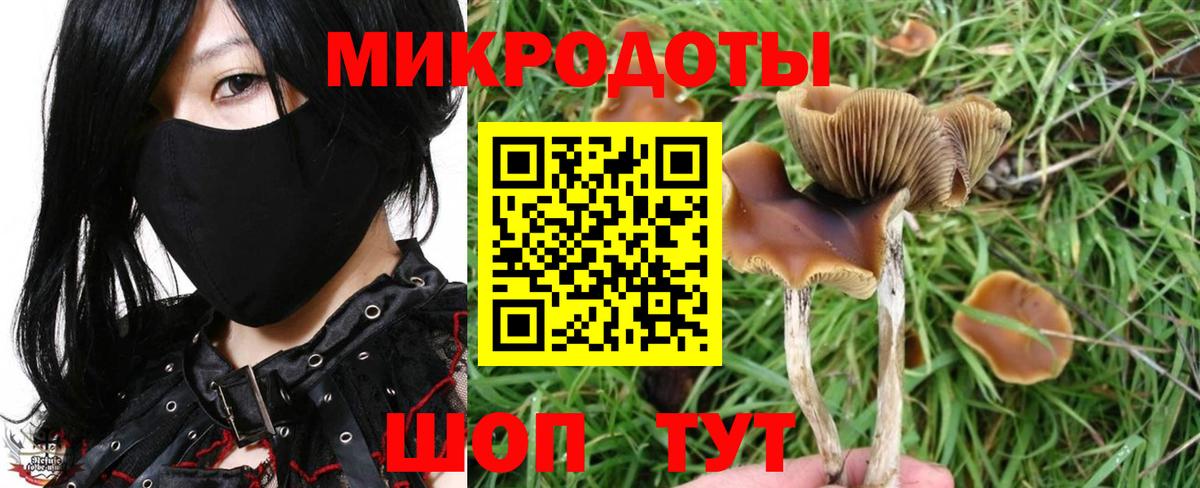 Псилоцибиновые грибы GOLDEN TEACHER Усинск